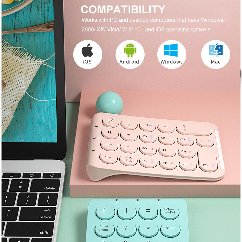 BOW 22 tasti Tastierino numeri - Pbt Keycaps For Numeric Keypad Numpad recensione e prezzo